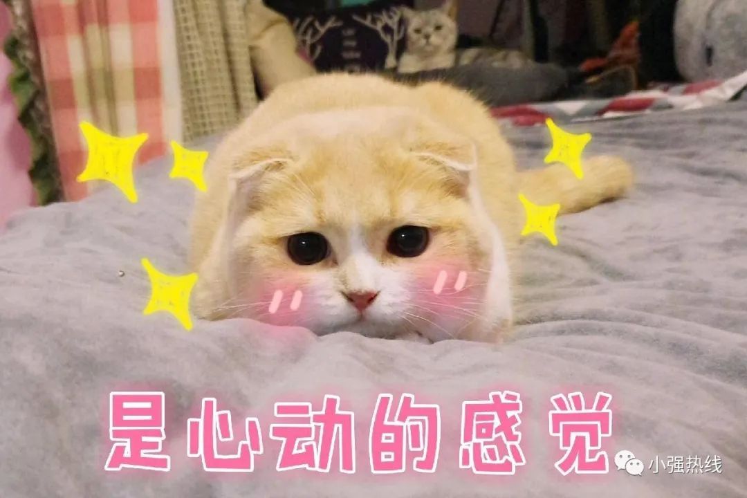 DƬ